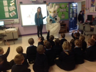 Fit and healthy P1&2